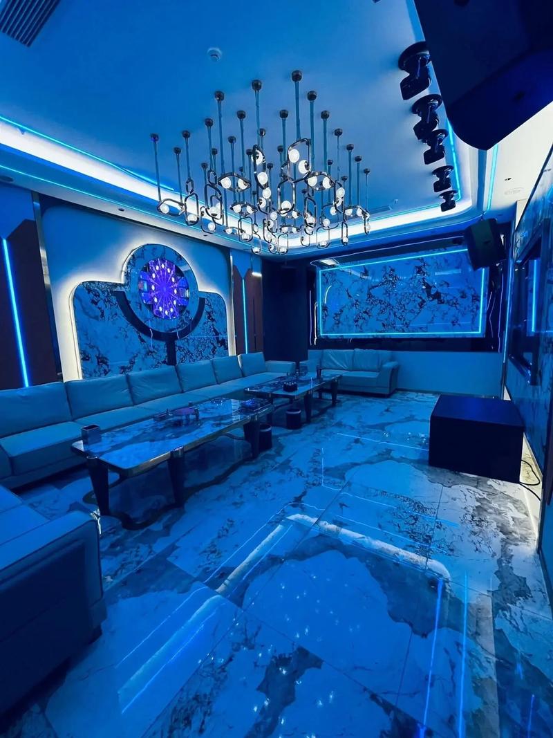 长春商务KTV，精彩体验商务ktv怎么玩-农安县ktv预订